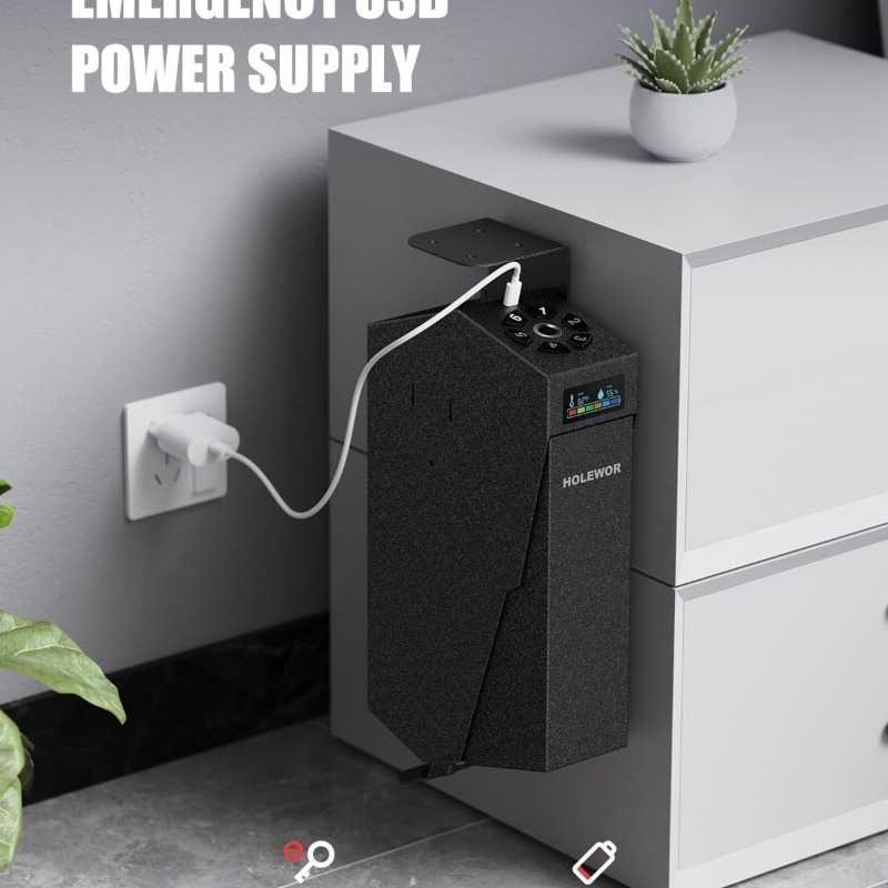 Smart Fingerprint Handgun Safe - Home Security Box 评论和价格